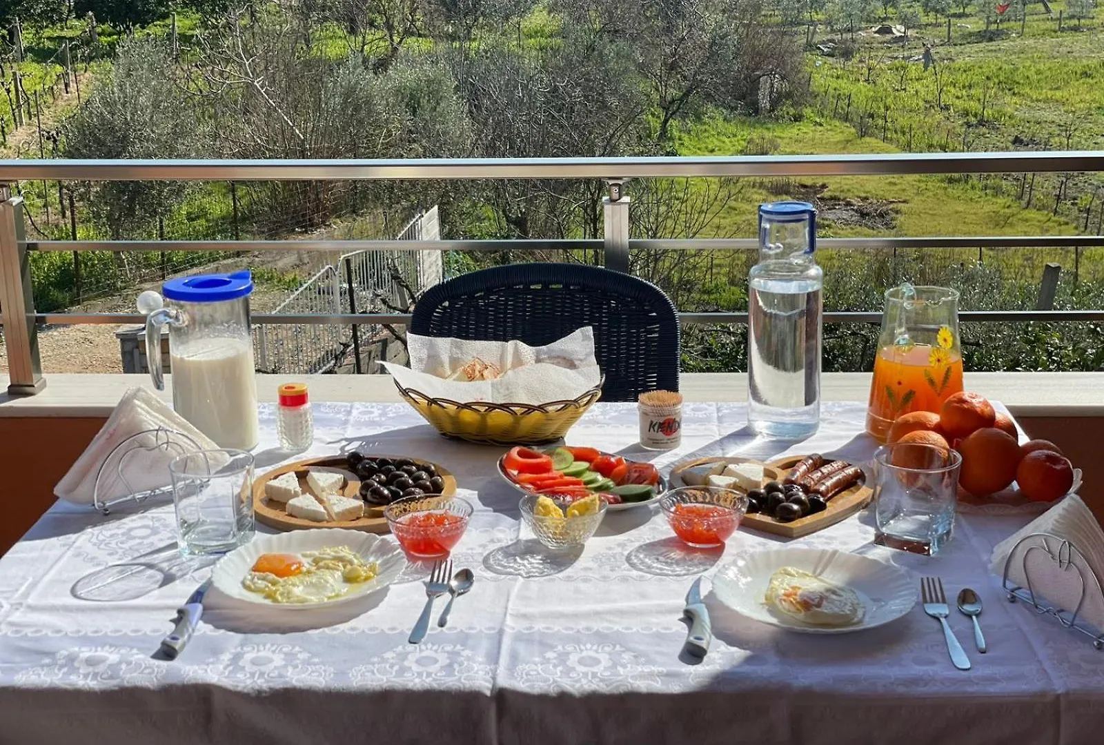 Harmony Villa Berat 0*,  Albania